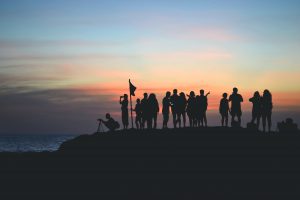Conseil d'organisation